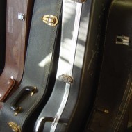 Guitar Cases in Sunbeam