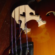 close up photo of the bridge of an acoustic bass guitar