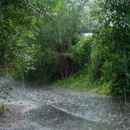 photo of raindrops falling in a paved asphault alley way