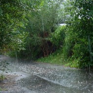 Alley in the Rain photo of raindrops falling in a paved asphault alley way