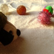 photo of balls and stuffed animal kitty toys in a sunbeam