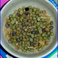 Dried Peas Bowl full of dried peas harvested from the garden