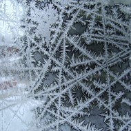 Ice Crystals on Window Pane Ice Crystals on Window Pane