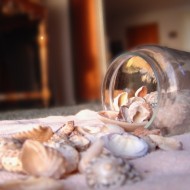 Sea shells spilling out of glass jar
