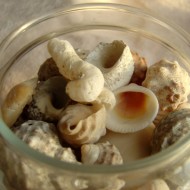 photo of a glass jar full of sea shells