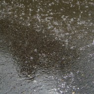 Raindrops on the Pavement photo of raindrops falling on pavement