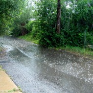 Sunny Rain Shower Photo of paved alley during sunny rain storm