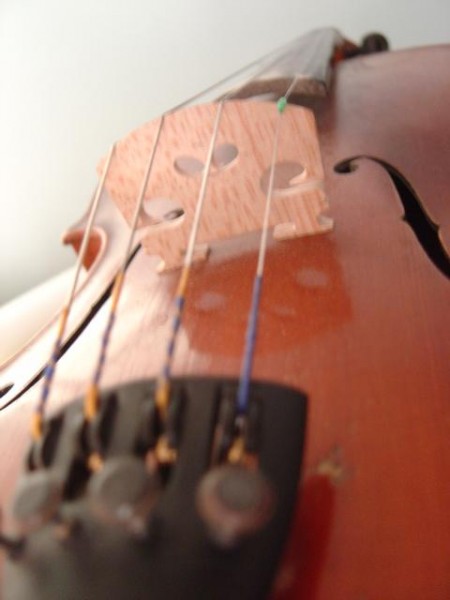 close up photo of a violin bridge
