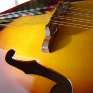 photo of mandolin with bridge and f holes