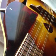 photo of mandolin with pick in strings and pick guard