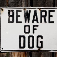Free photo of beware of dog sign