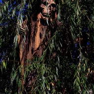 Free Photo of a Halloween Spook hanging in a tree