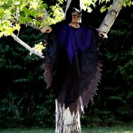 Free photo of Halloween witch yard decoration hanging in a tree