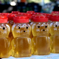 Free photo of honey in bear bottles Free photo of honey in bear bottles