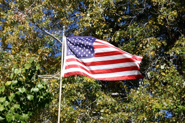 Free high resolution photo of an American flag amongst trees