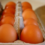 Brown Eggs - Free high resolution photo