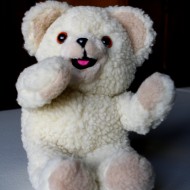 cream colored teddy bear - free high resolution photo cream colored teddy bear - free high resolution photo