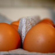 Eggs Closeup - free high resolution photo Eggs Closeup - free high resolution photo