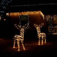 house with Christmas icicle and reindeer lights - free high resolution photo