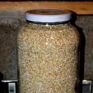 jar-of-steel-cut-oats-thumbnail