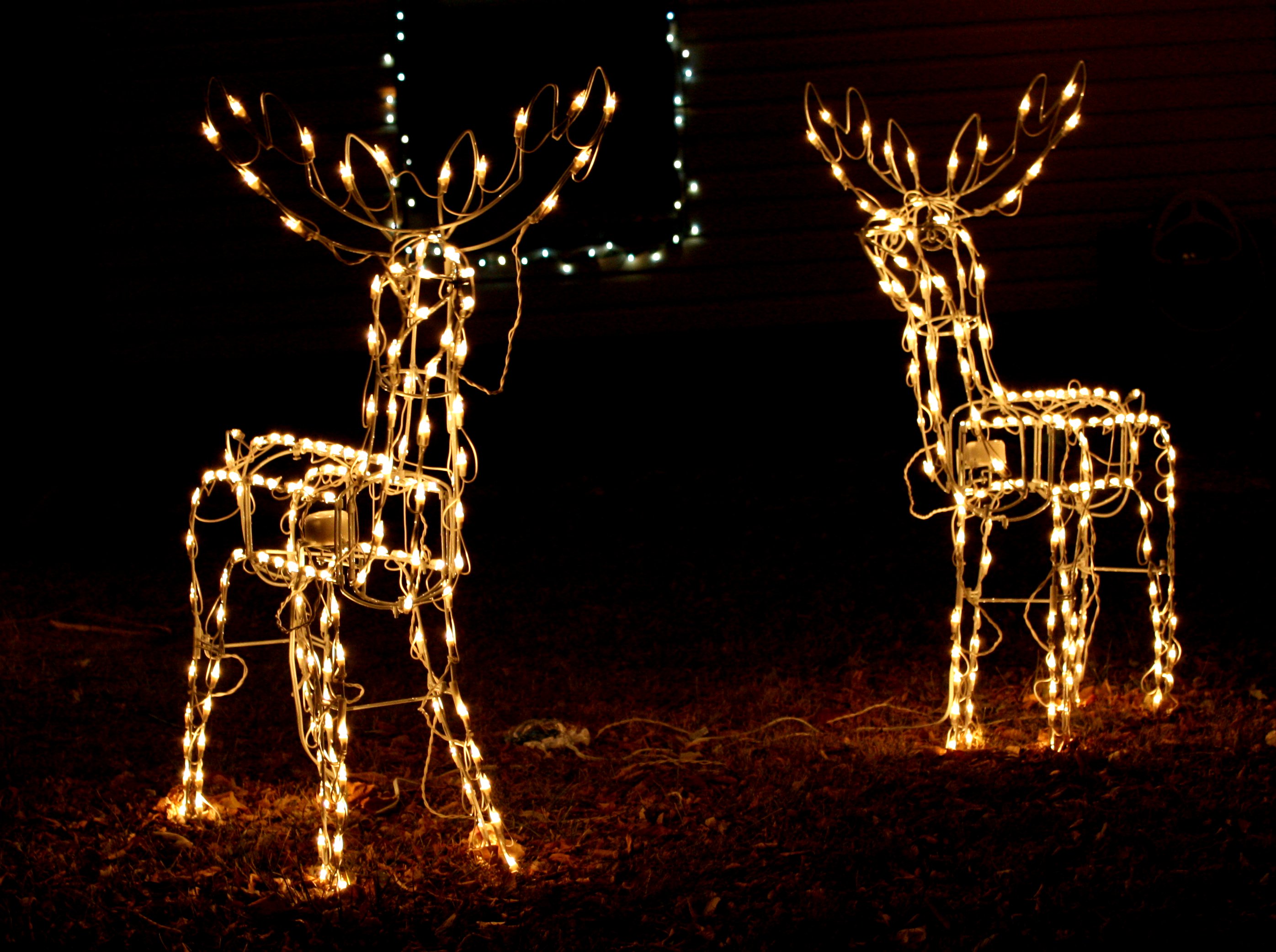 two lighted reindeer Christmas decorations as part of a holiday lights ...