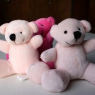 Three Teddy Bears - free high resolution photo Three Teddy Bears - free high resolution photo