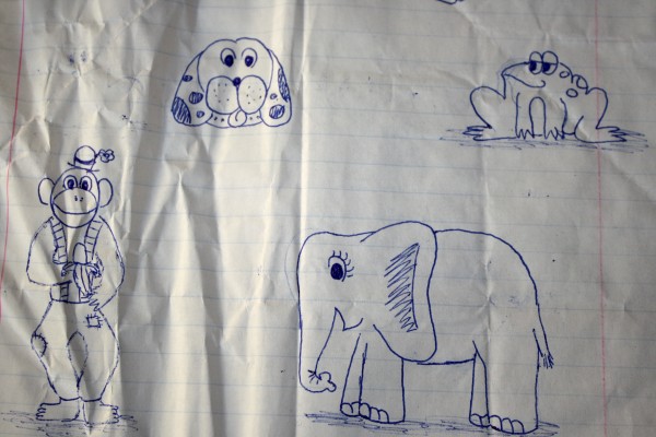 Animal Doodles on Crumpled Notebook Paper - Free High Resolution Photo