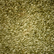 Avocado Green Carpet Texture - Free High Resolution Photo Avocado Green Carpet Texture - Free High Resolution Photo