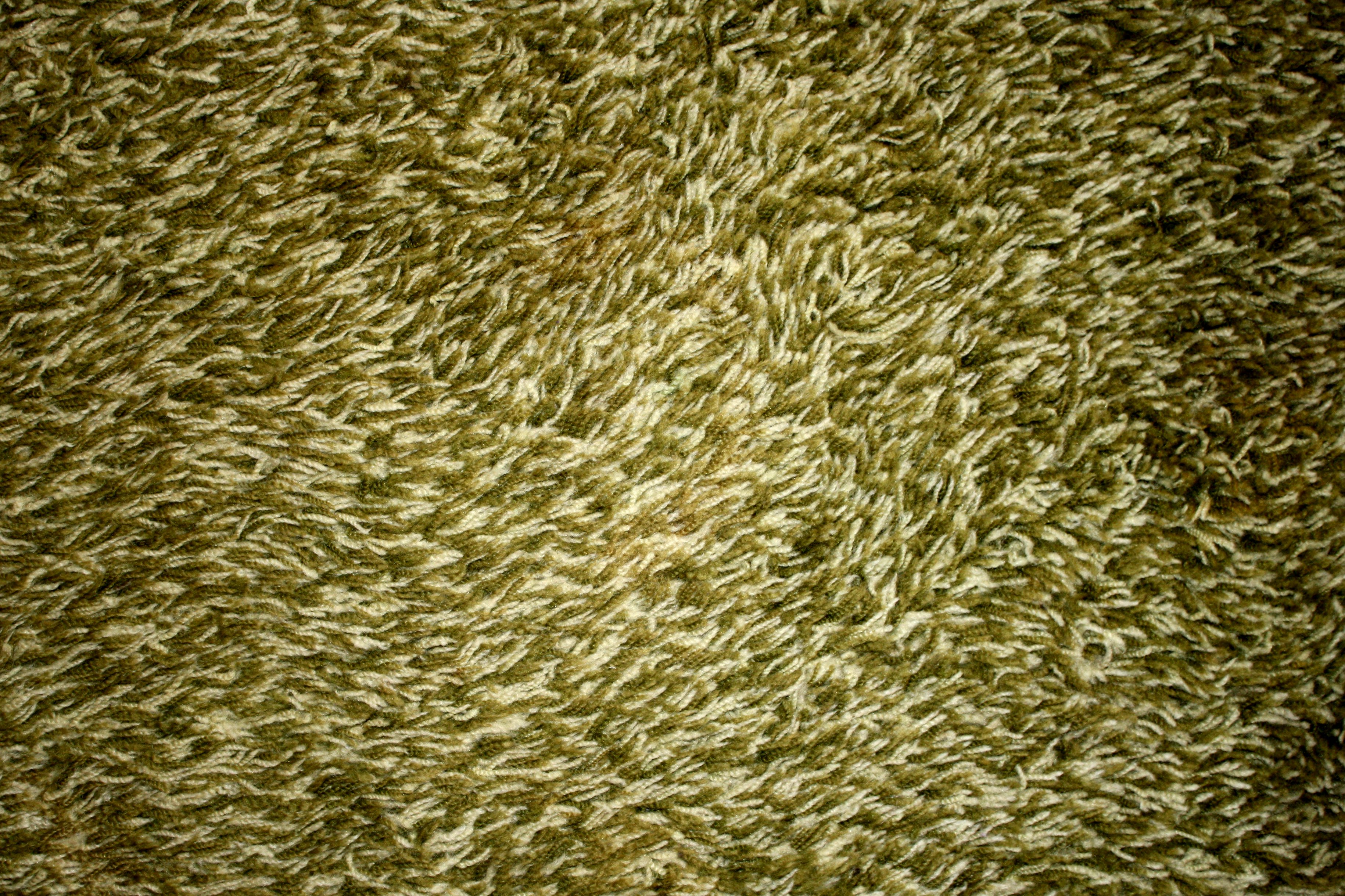 Avocado Green Carpet Texture Picture | Free Photograph | Photos Public