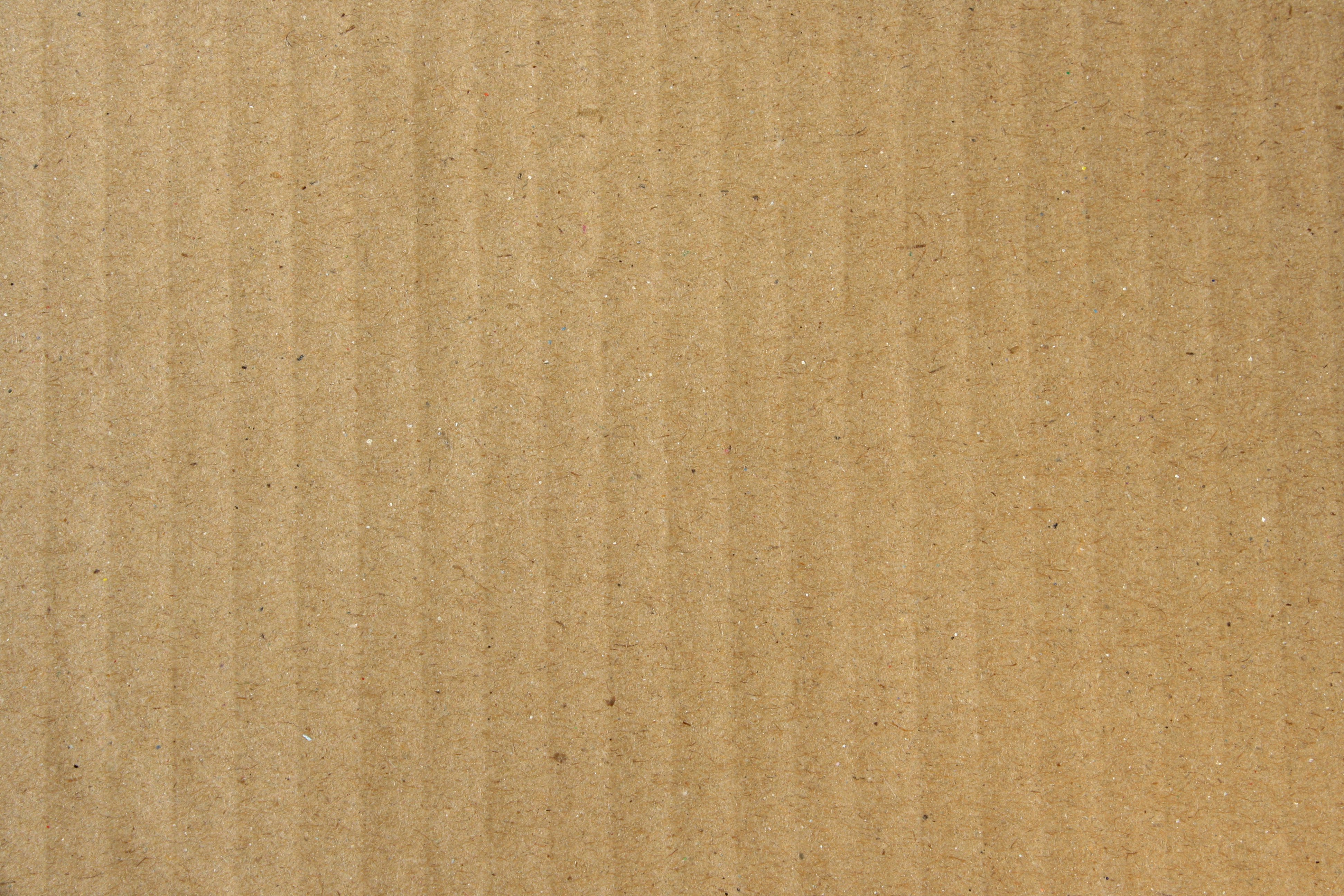 Cardboard Texture