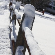 rail-fence-covered-with-snow-thumbnail