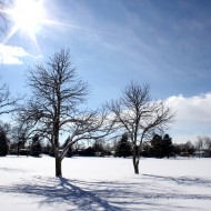 Sunny Winter Day - Free High Resolution Photo Sunny Winter Day - Free High Resolution Photo