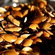 Toasted Pumpkin Seeds - Free High Resolution Photo Toasted Pumpkin Seeds - Free High Resolution Photo