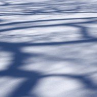 Tree Shadow Patterns on Snow Texture - Free High Resolution Photo Tree Shadow Patterns on Snow - Free High Resolution Photo