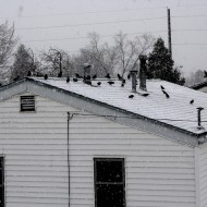 Flock of Birds on Roof in Snow Storm - Free High Resolution Photo