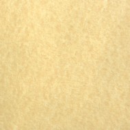 Light Colored Parchment Paper Texture - Free High Resolution Photo Light Colored Parchment Paper Texture - Free High Resolution Photo