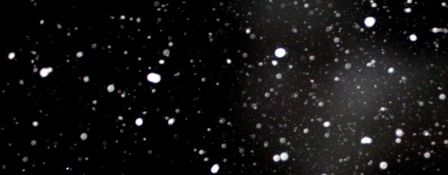 Snowflakes Falling at Night - Free High Resolution Photo