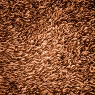 Brown Shag Carpeting Texture - Free High Resolution Photo Brown Shag Carpeting Texture - Free High Resolution Photo