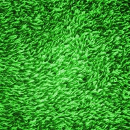 Green Shag Carpeting Texture - Free High Resolution Photo Green Shag Carpeting Texture - Free High Resolution Photo