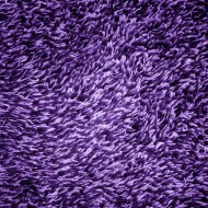 Purple Shag Carpeting Texture - Free High Resolution Photo Purple Shag Carpeting Texture - Free High Resolution Photo
