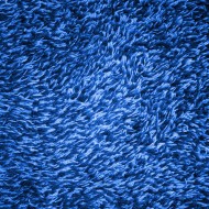 Royal Blue Shag Carpeting Texture - Free High Resolution Photo Royal Blue Shag Carpeting Texture - Free High Resolution Photo