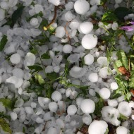 Large Hailstones on Ground - Free High Resolution Photo