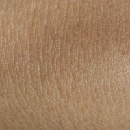 Skin - Free high resolution photo of human skin Skin - Free high resolution photo of human skin