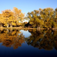 Autumn Trees Reflected in Lake - Free High Resolution Photo