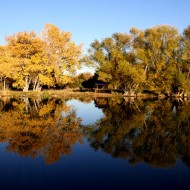 Autumn Trees Reflected in Lake - Free High Resolution Photo Autumn Trees Reflected in Lake - Free High Resolution Photo