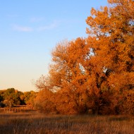Beautiful Autumn Day - Free High Resolution Photo Beautiful Autumn Day - Free High Resolution Photo