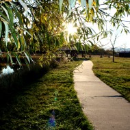 Bike Path at the Park - Free High Resolution Photo
