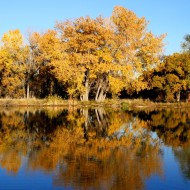Fall Trees Reflected in Lake - Free High Resolution Photo
