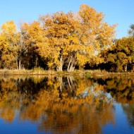 Fall Trees Reflected in Lake - Free High Resolution Photo Fall Trees Reflected in Lake - Free High Resolution Photo