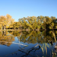 Autumn at the Lake - Free High Resolution Photo Autumn at the Lake - Free High Resolution Photo